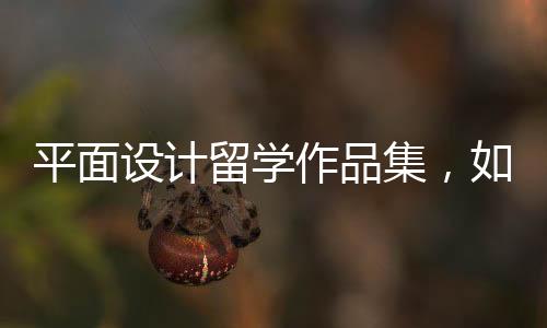 平面设计留学作品集，如何制作才能打动考官？