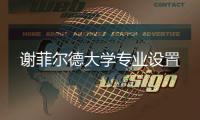 谢菲尔德大学专业设置
