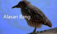 Alasan Bang Anies Naikkan Tarif Sewa Rusun Hingga Ratusan Ribu, Bikin....