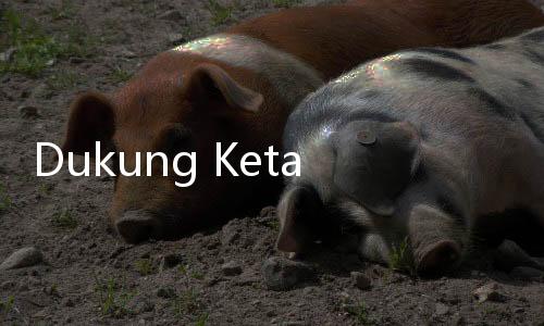 Dukung Ketahanan Gizi, Kadin Jalin Kerjasama dengan Industri Susu AS