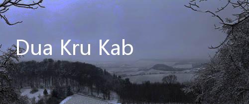Dua Kru Kabin Pesawat Jeju Air Selamat, di Mana Posisi Duduknya?