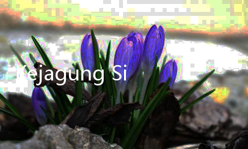 Kejagung Sita Mobil Mewah dan Dua Kapal Milik Pengacara Tersangka Kasus Korupsi Migor