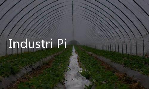 Industri Pindar Legal Makin Berkembang, Easycash Siap Dukung Inklusi Keuangan