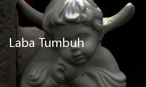 Laba Tumbuh Double Digit, BSI Perluas Market Share