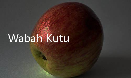 Wabah Kutu Busuk di Singapura, Awas Jangan Terbawa Pulang Usai Liburan