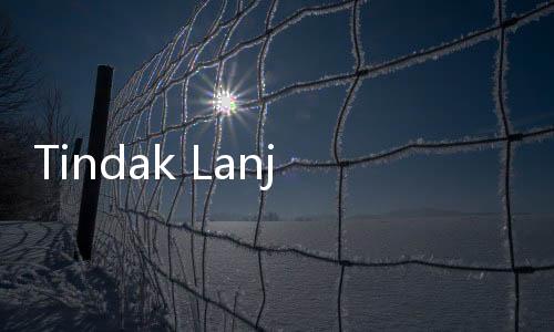 Tindak Lanjut Perkara PHPU, Bawaslu Pastikan Tak Ada Pelanggaran di Pemilu 2024